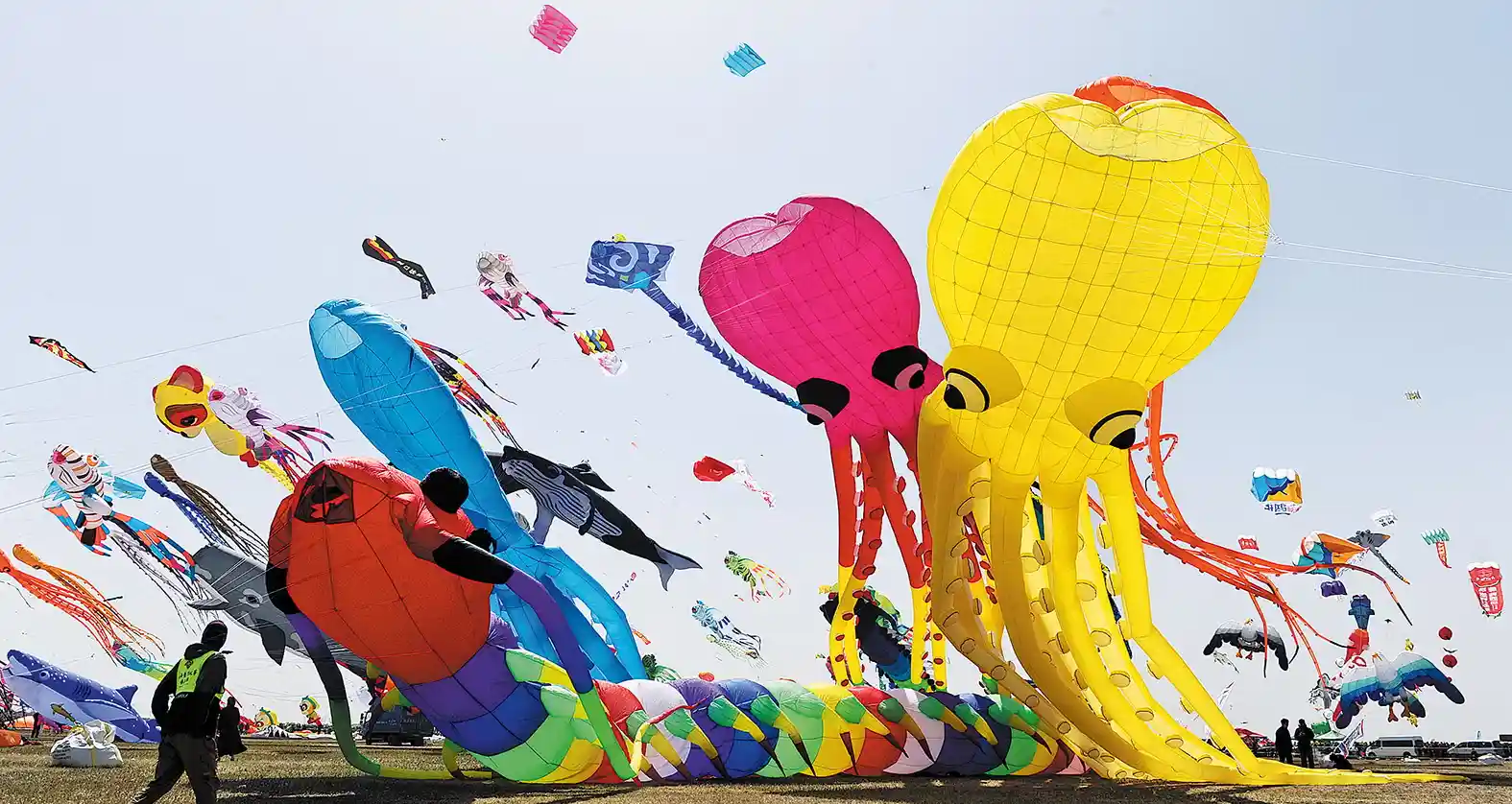 Designing durable kites for adults, crafted for thrilling outdoor adventures.