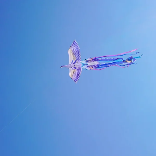 Large Phoenix Bird Kite for Adults