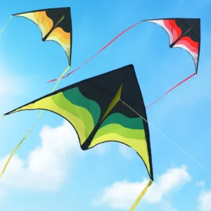 Large Beach Delta Kite for Adults