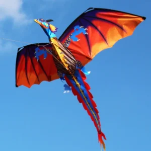 3D Dragon Kite for Adults